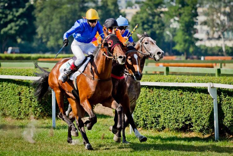 Umi Hotel Sopot | Sopot | 6